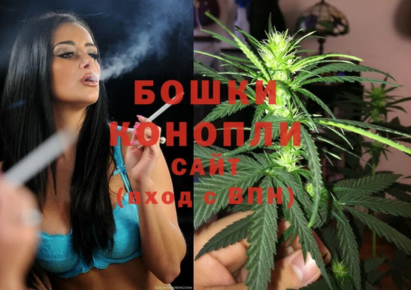 индика Сатка