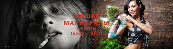 твердый Надым