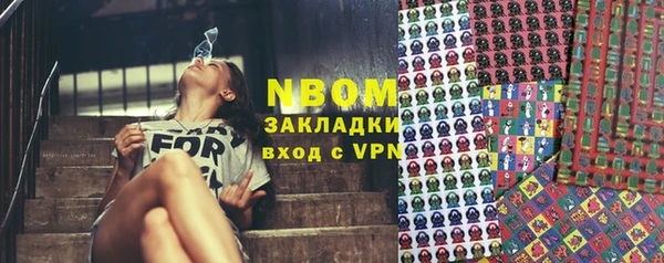 твердый Надым