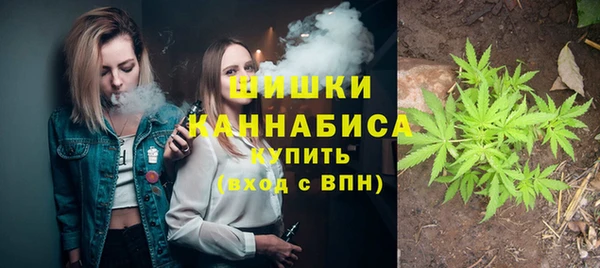 твердый Надым