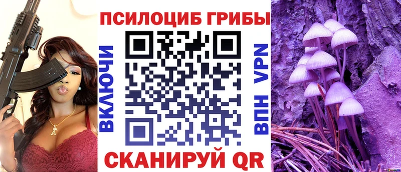 Псилоцибиновые грибы Psilocybe Уяр