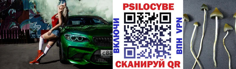даркнет сайт  Уяр  Галлюциногенные грибы Psilocybine cubensis 